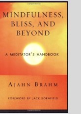 Mindfulness, Bliss, and Beyond: A Meditator's Handbook