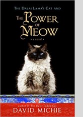 The Dalai Lama's Cat and the Power of Meow (The Dalai Lama's Cat, #3)