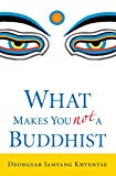 What Makes You Not a Buddhist